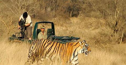 JIM CORBETT PARK