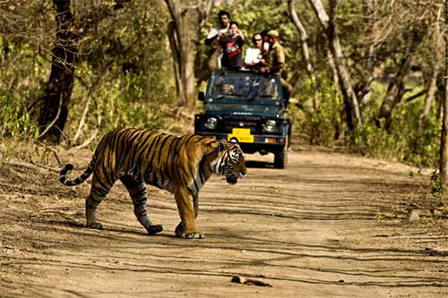 Jim Corbett